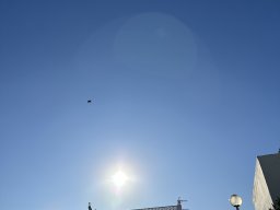 125-24-12-2025 IMG_3290
